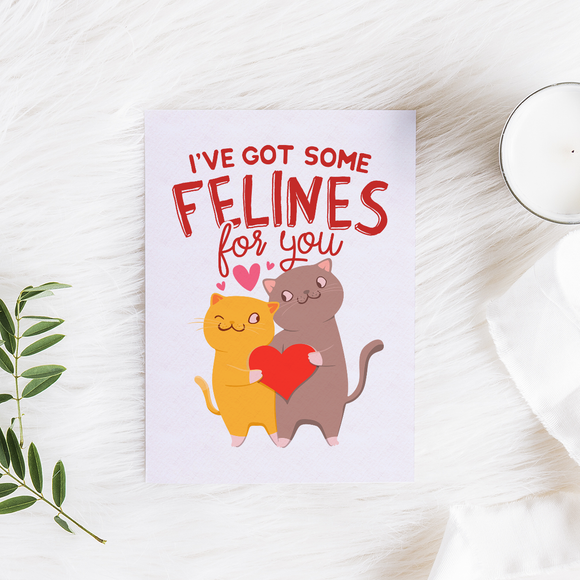 I've Got Some Felines For You - Folded Greeting Card - FB66W-CD